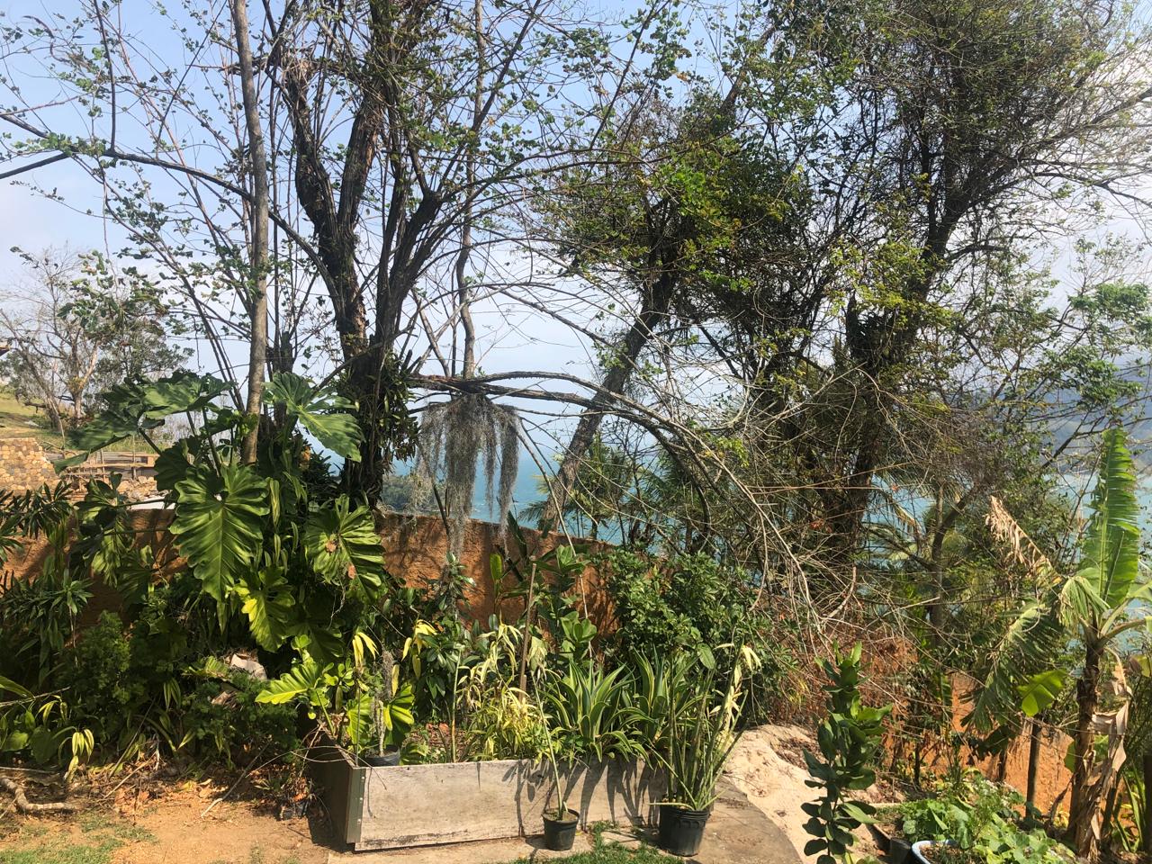 Excelente Terreno Em Ilhabela