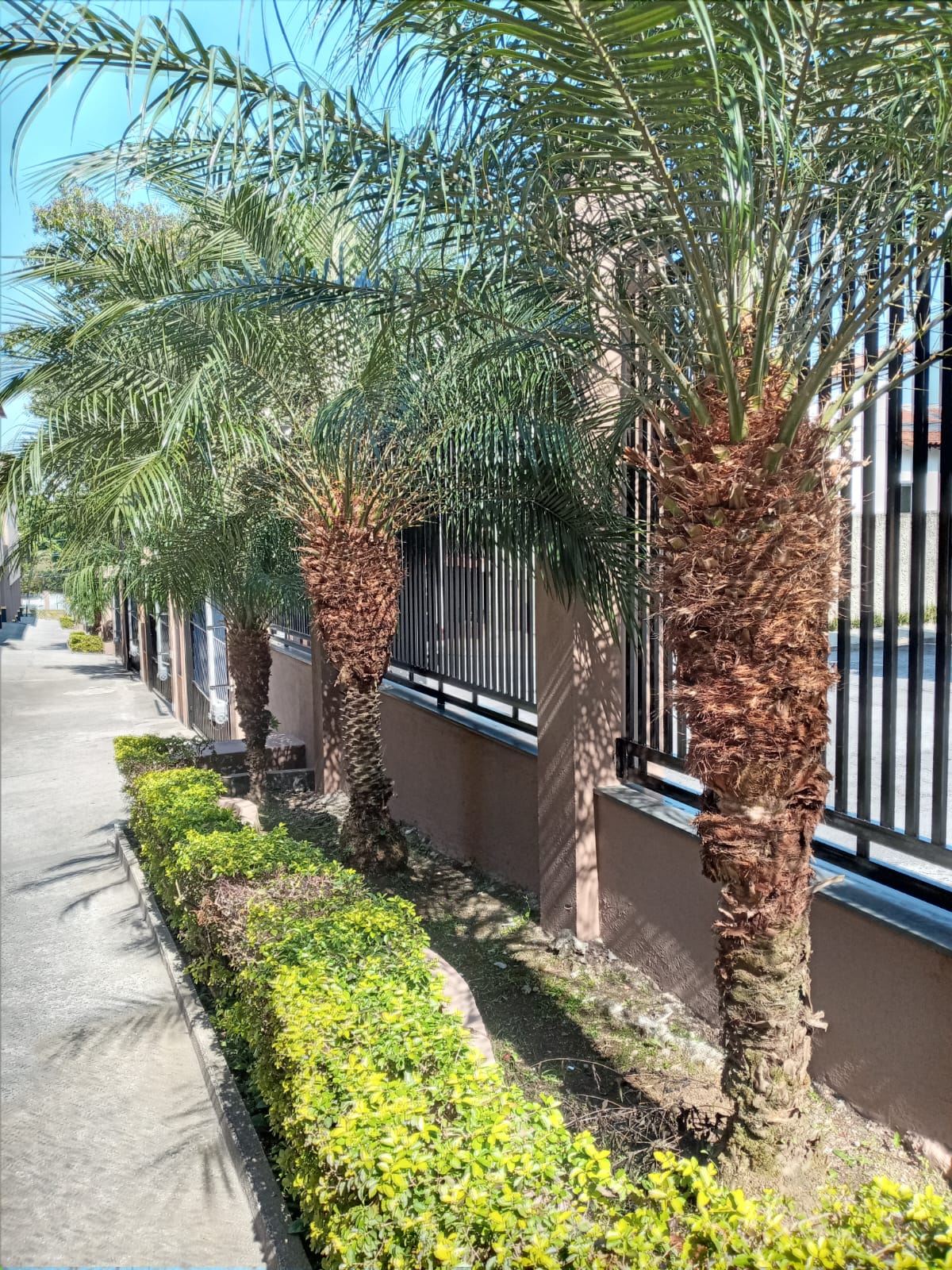 Apartamento a Venda Bairro Assunção SBC 