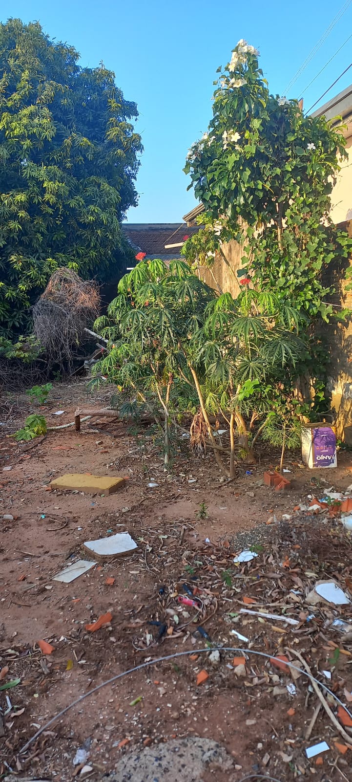 Terreno Á Venda - Panorama SP 
