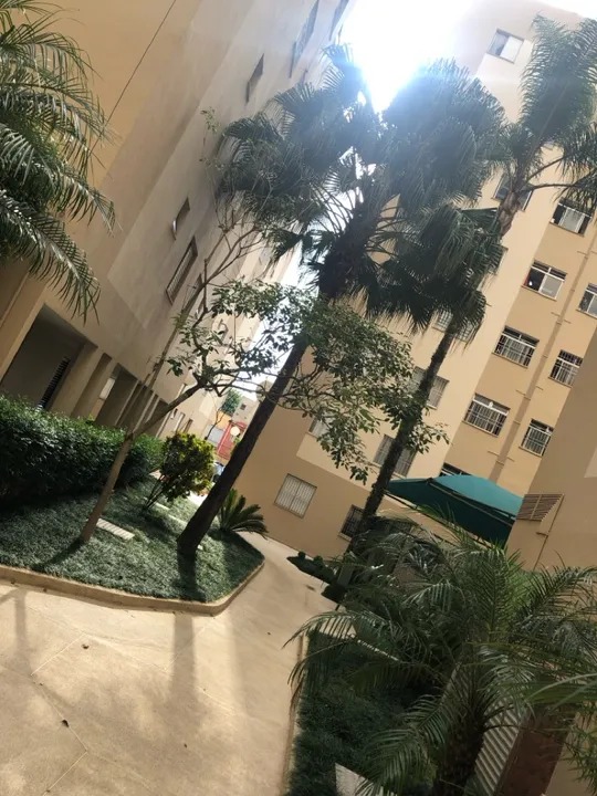 Apartamento A Venda Bairro Independência SBC 